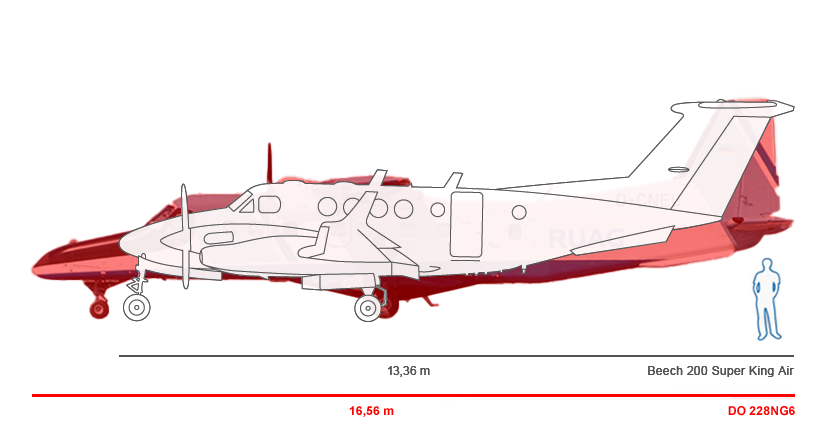 vergleich_Beech.png